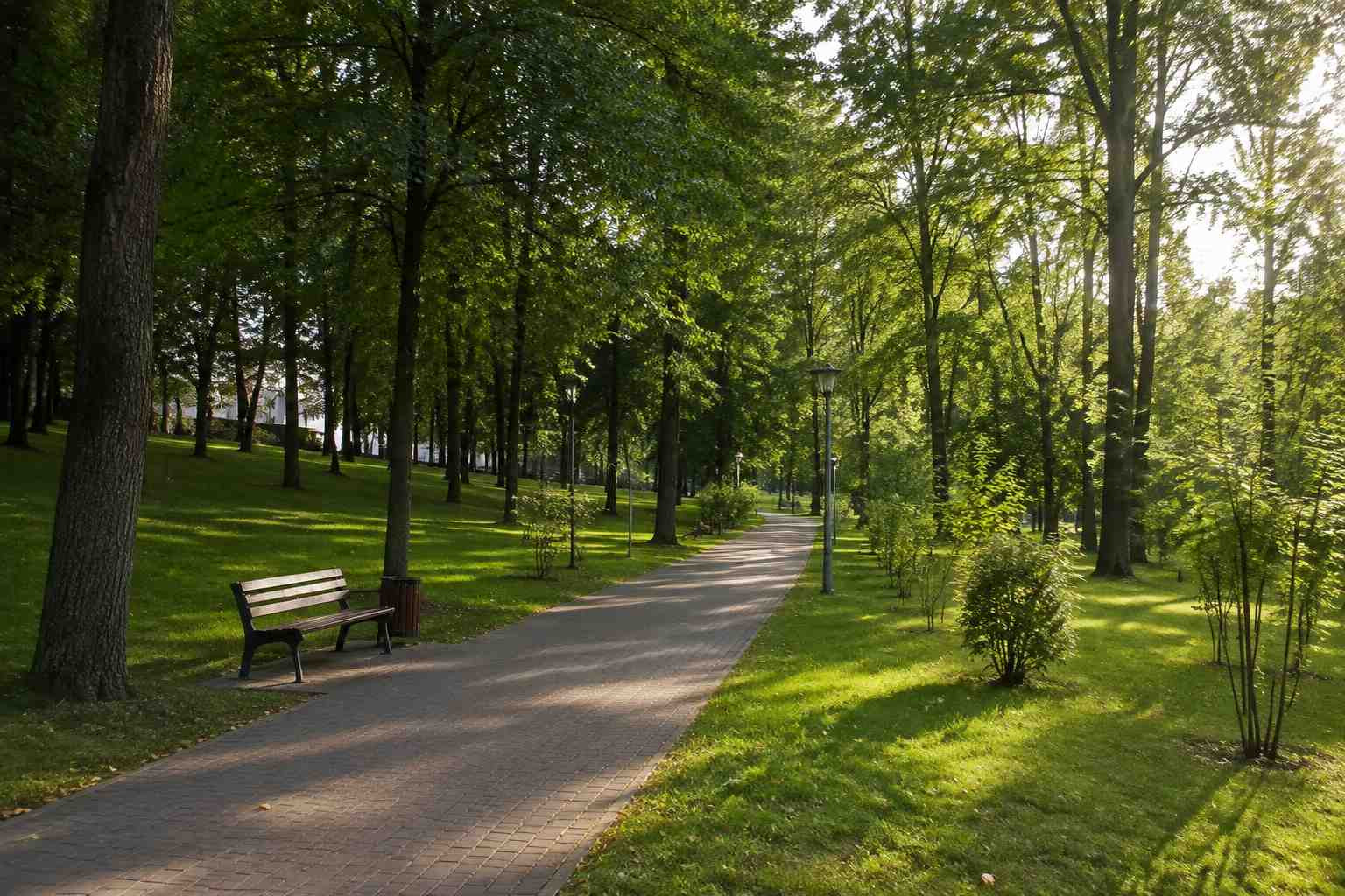 https://pskov.blago-s.ru/storage/app/uploads/public/6a7/eef/ed2/6a7eefed2af22038960370.jpg